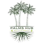 Palms Hub